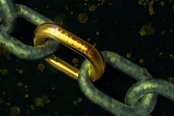 Catena-del-valore_evidenza