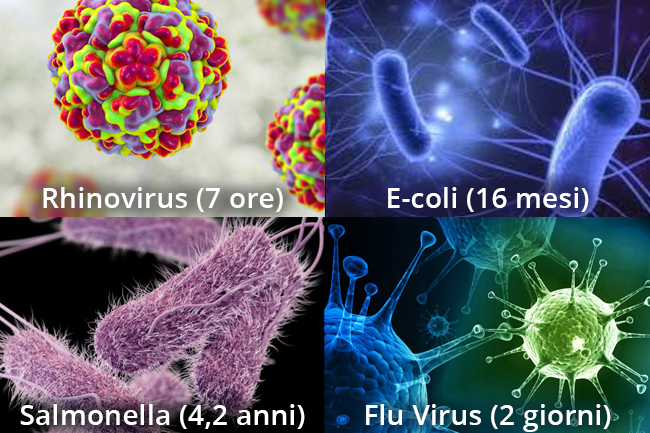 Virus+persistenza Virus+persistenza